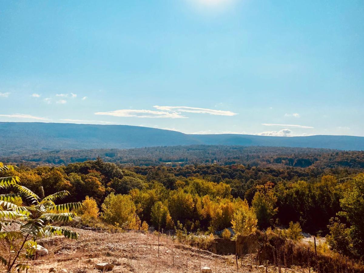 Arcady Mountain Motor Lodge Sunderland Ngoại thất bức ảnh