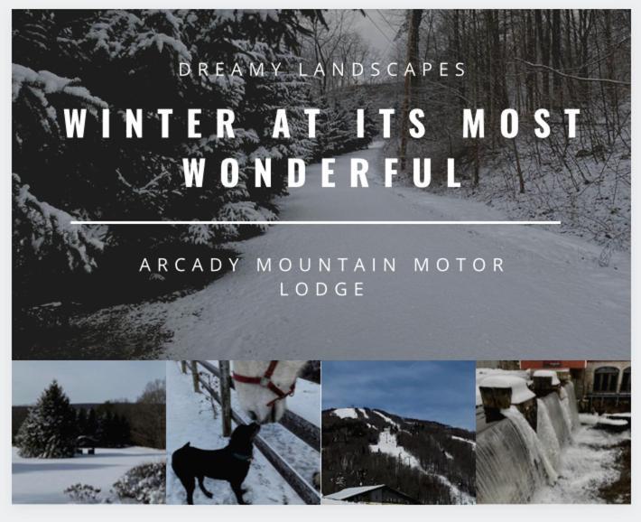 Arcady Mountain Motor Lodge Sunderland Ngoại thất bức ảnh